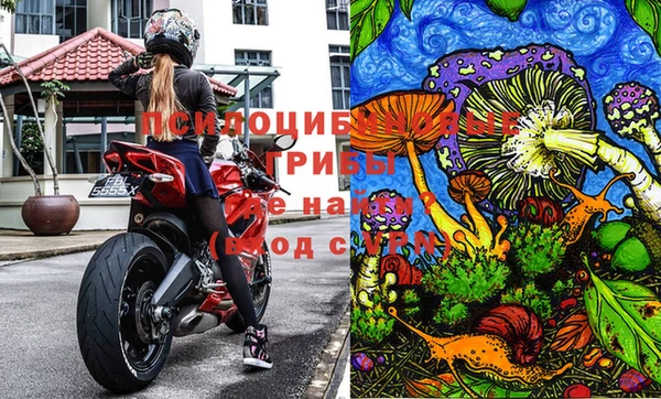 синтетический гашиш Богданович