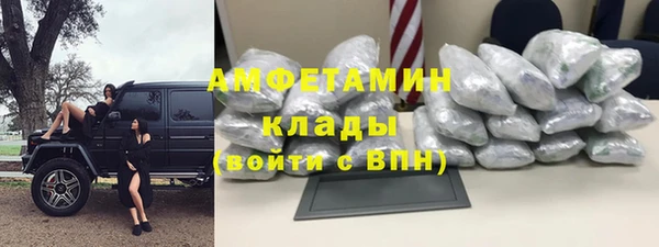 гидра Богородск