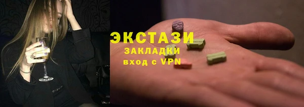 гидра Богородск