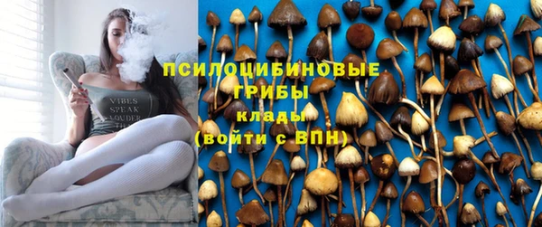 PSILOCYBIN Беломорск